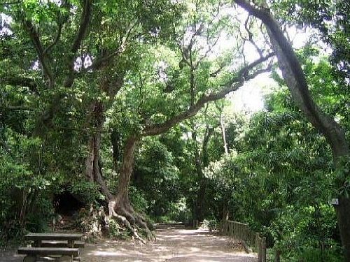 시로야마 공원